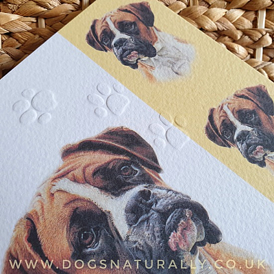 Boxer Dog Card Simply Elegant Range
